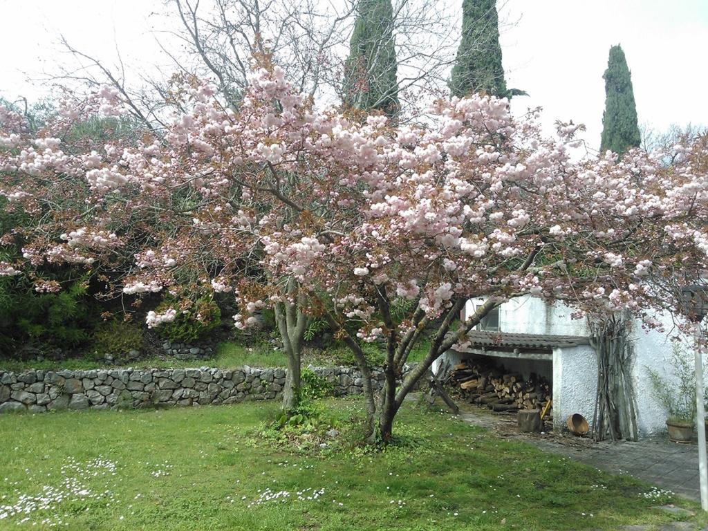 B&B Villa Ada Formia Exterior photo