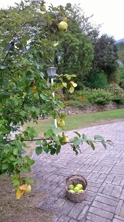 B&B Villa Ada Formia Exterior photo
